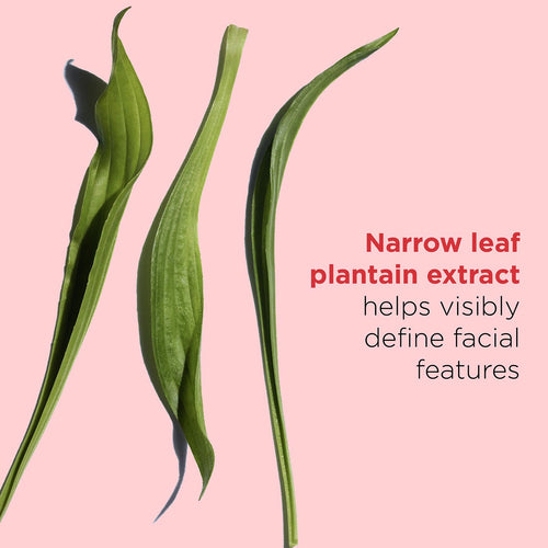 Narrow-Leaf Plantain