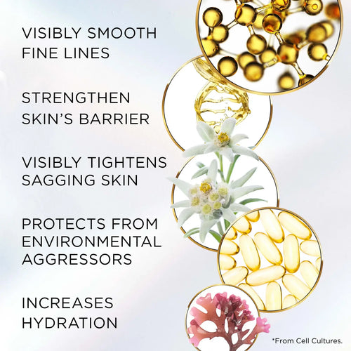 Combining Ceramides, Tetrapeptides, and Edelweiss Extract