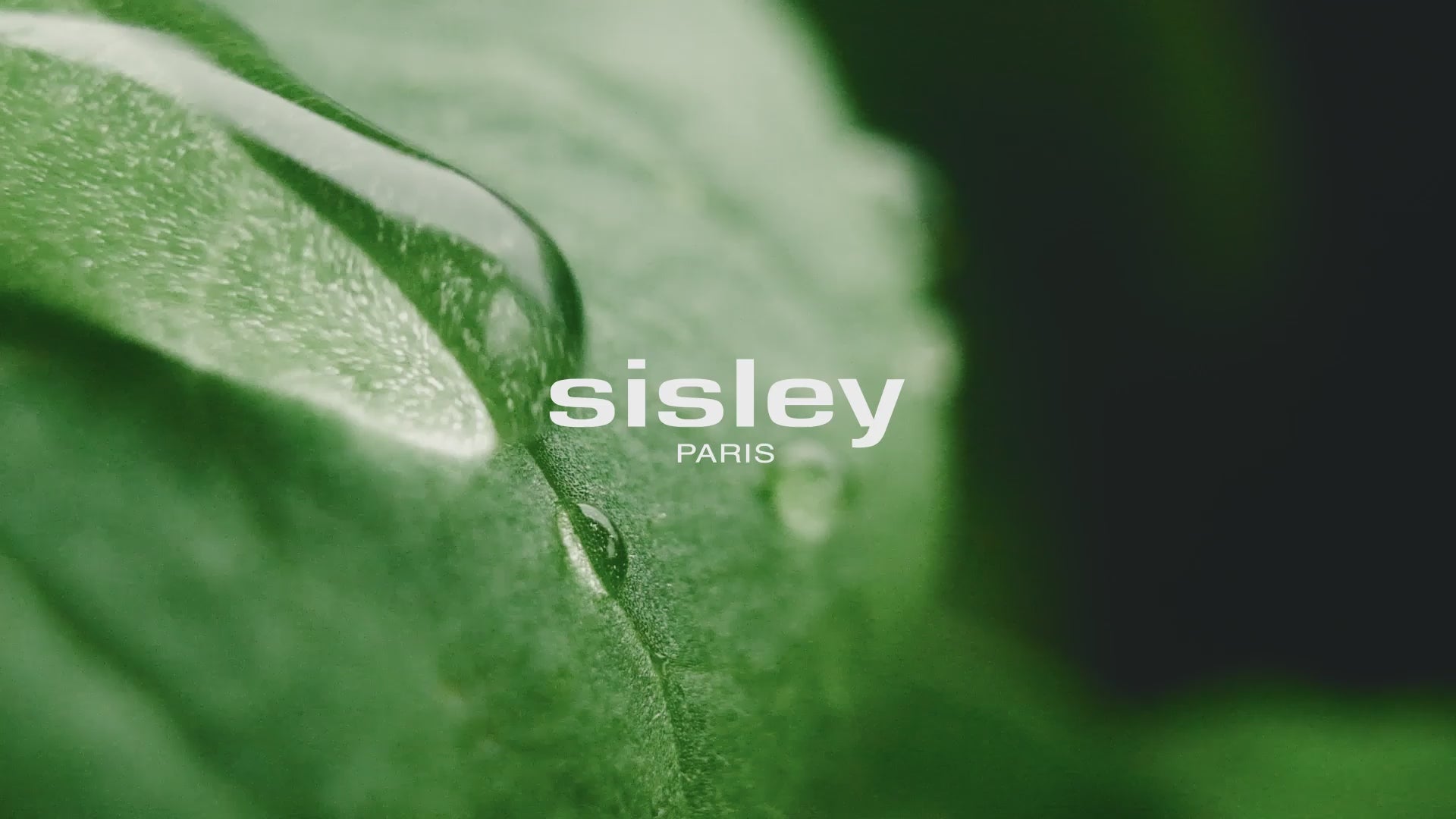 Ecological Compound Advanced Formula by Sisley - Paris